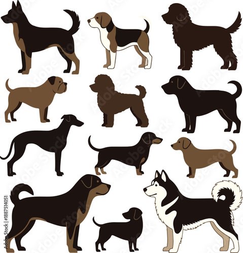 Diverse group of dogs in various breeds and poses