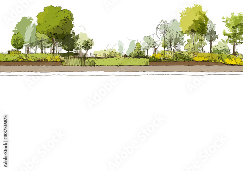 Paisagem urbana desenhada com árvores e vegetação verde em fundo transparente para design gráfico.