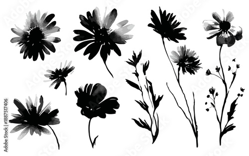 Ilustrações em aquarela preta de flores e plantas delicadas com fundo transparente.