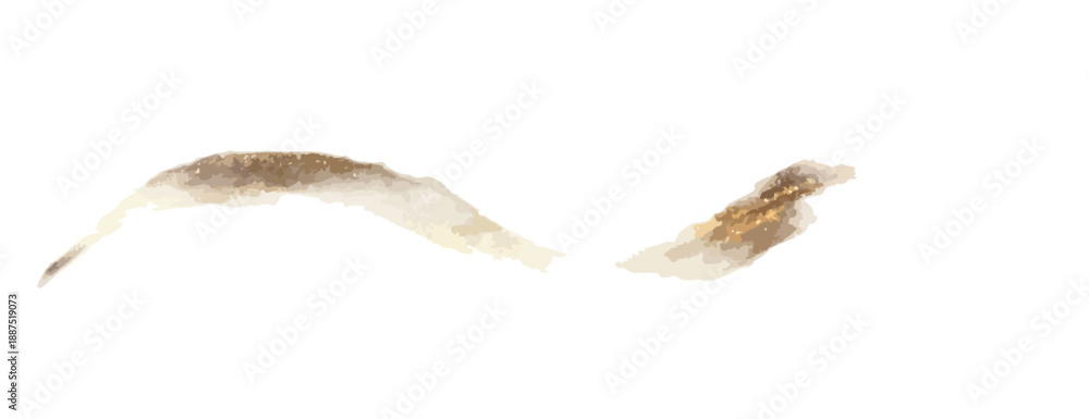Fototapeta premium Pinceladas abstratas em aquarela em tons de marrom e bege sobre fundo branco transparente