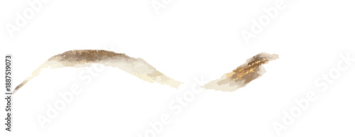 Pinceladas abstratas em aquarela em tons de marrom e bege sobre fundo branco transparente