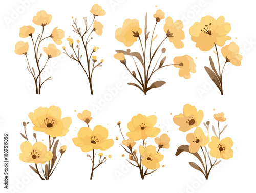 Conjunto de ilustrações em aquarela de flores amarelas delicadas com galhos e folhas em fundo transparente