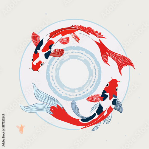 Koi Fish Swimming in Circle.