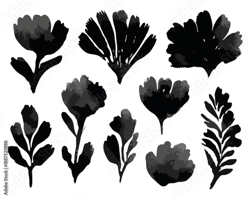 Conjunto de flores y hojas pintadas con acuarela negra sobre fondo transparente.