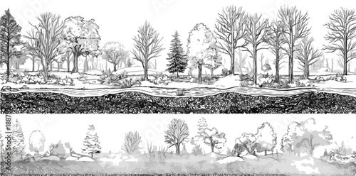 Ilustración de sección transversal de un ecosistema forestal con árboles, vegetación y suelo detallado.