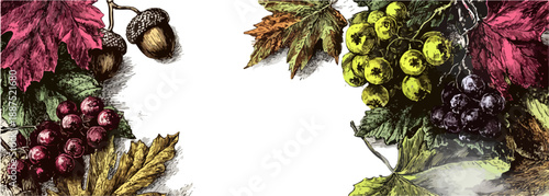 秋の収穫、ブドウ、ドングリ、紅葉した葉の装飾的なフレーム、透明な背景