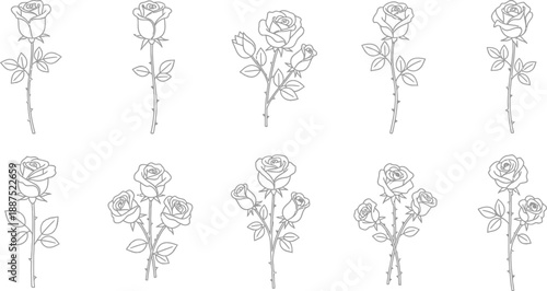 Collection of various black and white line art rose illustrations showcasing single blooms and small clustered bouquets on thorny stems