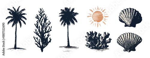 ヤシの木、サンゴ、貝殻、太陽のイラストセット。夏、海、トロピカルなテーマ.