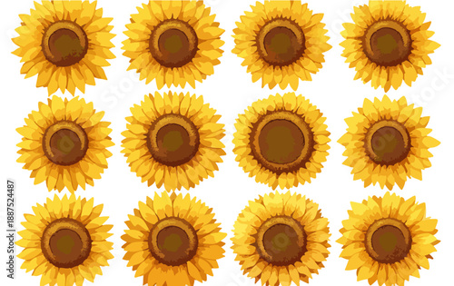 Un conjunto de girasoles amarillos vibrantes sobre un fondo transparente, ideal para diseños de verano.