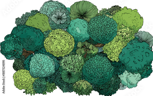 Vista aérea de un grupo diverso de árboles verdes y arbustos, estilo de ilustración de dibujos animados, fondo transparente.