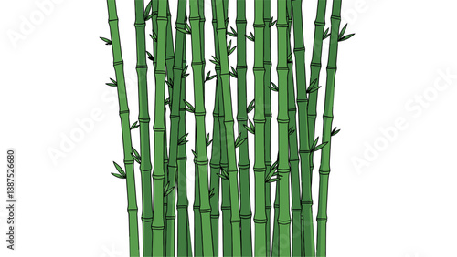 Green bamboo forest background, flat vector illustration of bamboo stalks and leaves.