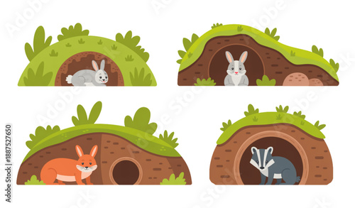 Set of Woodland Animal Burrows with Underground Tunnels Flat Vector Illustration