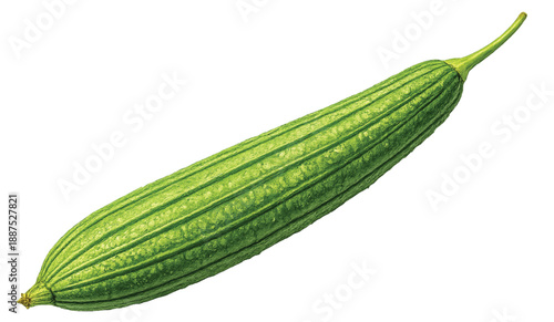 Thai Angled Gourd Isolated on Transparent Background