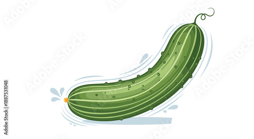 Fresh green cucumber with water splashes is presented in a stylized vector illustration showing its bumpy texture and stem.