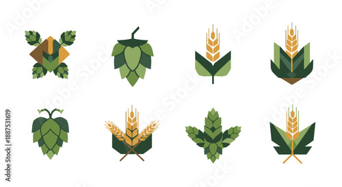 Collection of eight stylized illustrations featuring hops and wheat, essential ingredients for brewing beer, presented on a white background.