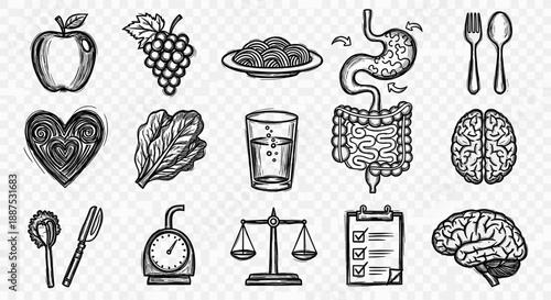 Hand-Drawn Nutrition and Wellness Icon Set – Healthy Food & Gut Health Clipart