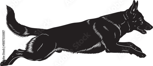 Black and white detailed illustration of German Shepherd dog in mid-run, showcasing speed, agility, strength, motion, and dynamic pose for animal art and design conceptsBlack and white detailed 