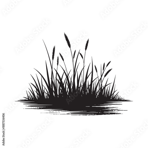 A simple black and white illustration of reeds growing from water