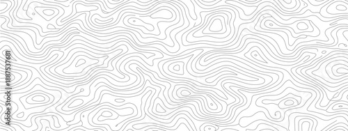 Abstract Topographic Contour Lines Pattern 3.