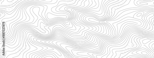 Abstract Topographic Contour Lines Wavy Pattern Minimalist Background.