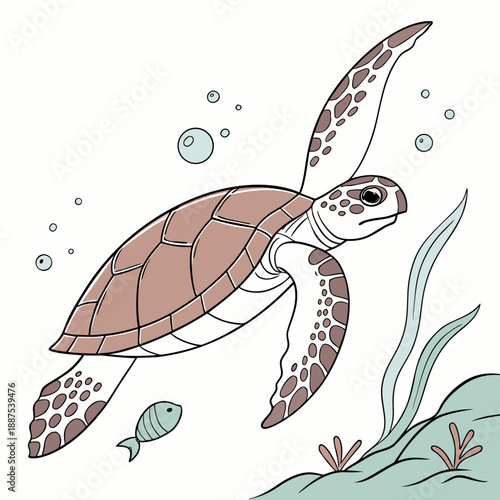 Sea turtle swimming in the ocean