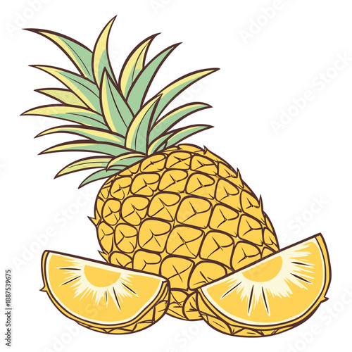 Pineapple and lemon slices illustration