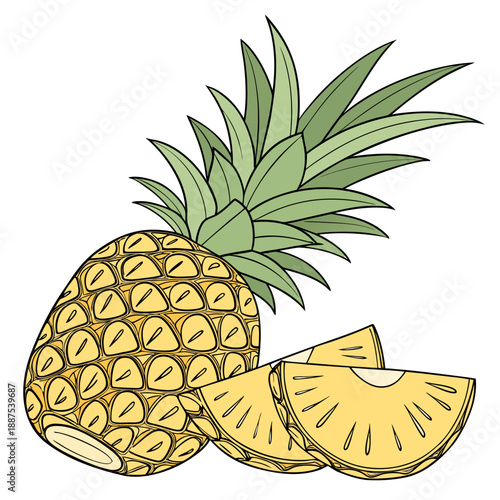 Fresh pineapple slices