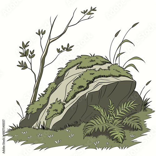 Lush forest landscape with mossy rock