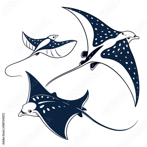 Illustration of three flying fish