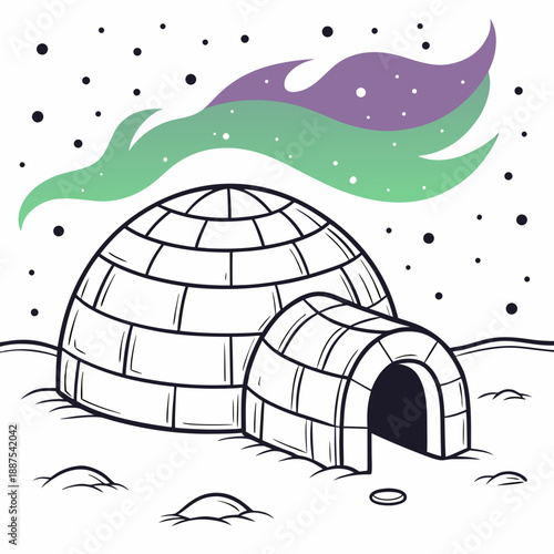 Igloo under a starry night