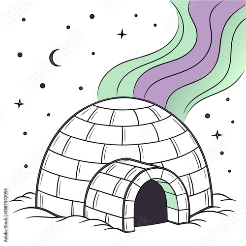 Dreamy igloo under the stars