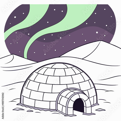 Igloo under the northern lights