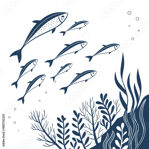 School of fish swimming over coral