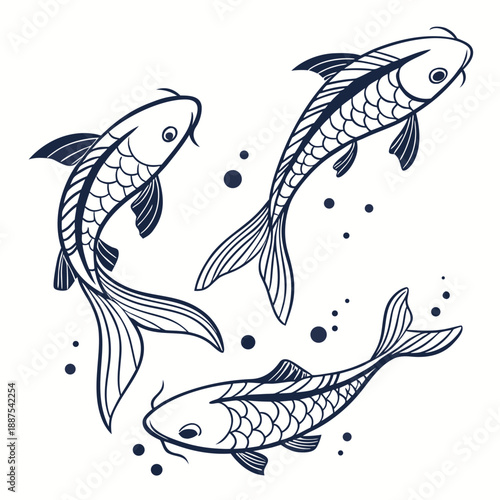 Three koi fish swimming