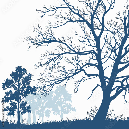 Silhouette of bare trees
