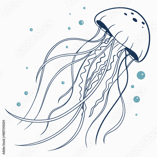 Illustration of a jellyfish