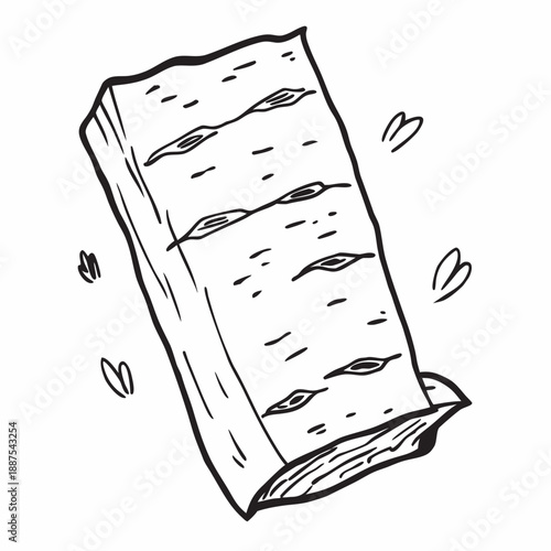 Birch bark illustration