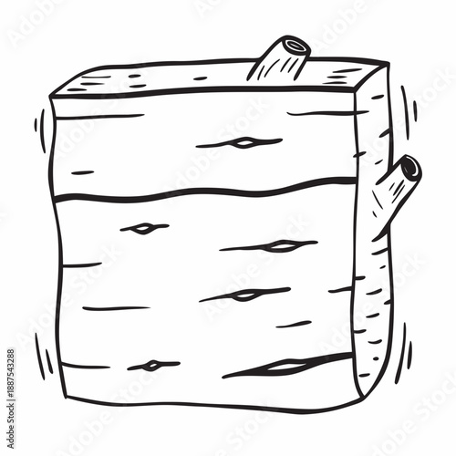 Birch tree bark illustration