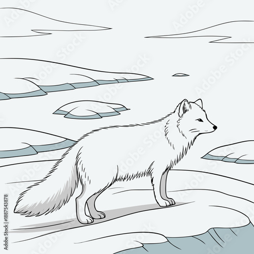 Arctic fox in snowy landscape