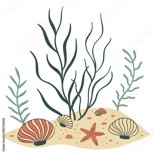Underwater seascape with coral and shells