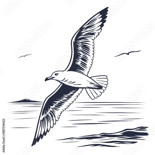 Seagull flying over waves