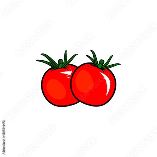 two fresh tomatoes vector illustration