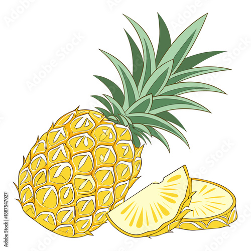 Fresh pineapple illustration