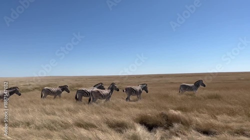 Driving In Etosha National Park, Namibia