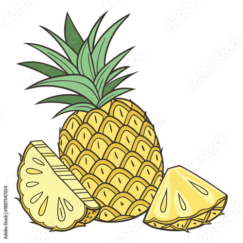 Pineapple illustration