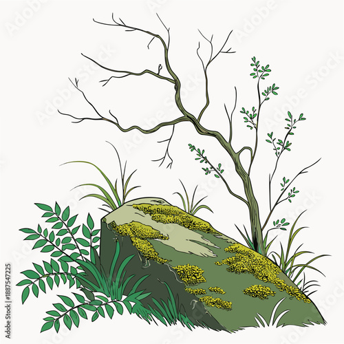 Illustration of a mossy rock with ferns and a twisted tree