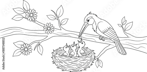 Black and White Line Art Illustration of an Adult Bird Feeding Three Chicks in a Nest on a Flowing Branch for Nature Coloring Books and Wildlife Education