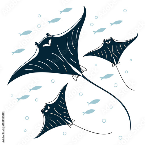 Three manta rays swimming with schools of fish