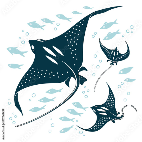 Underwater scene with manta rays and fish