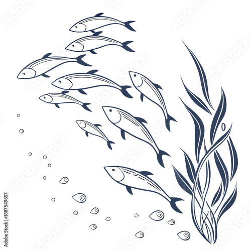 School of fish swimming near seaweed